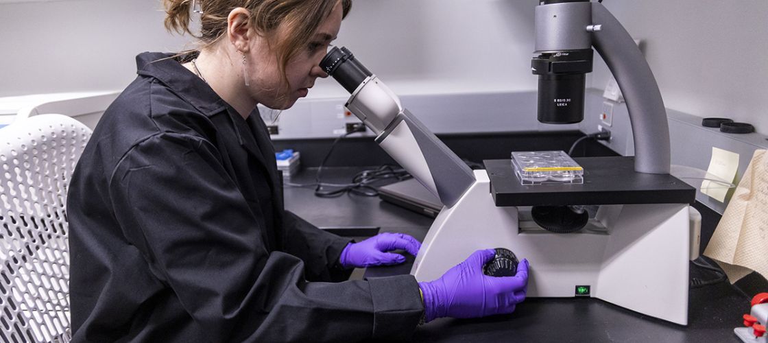 Samantha Musso looks into a microscope in a lab. 